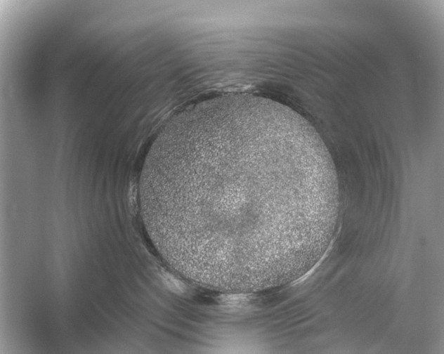 X0000056030192200509170046