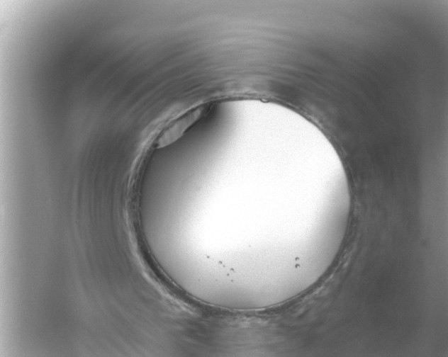 X0000056030193200509170045