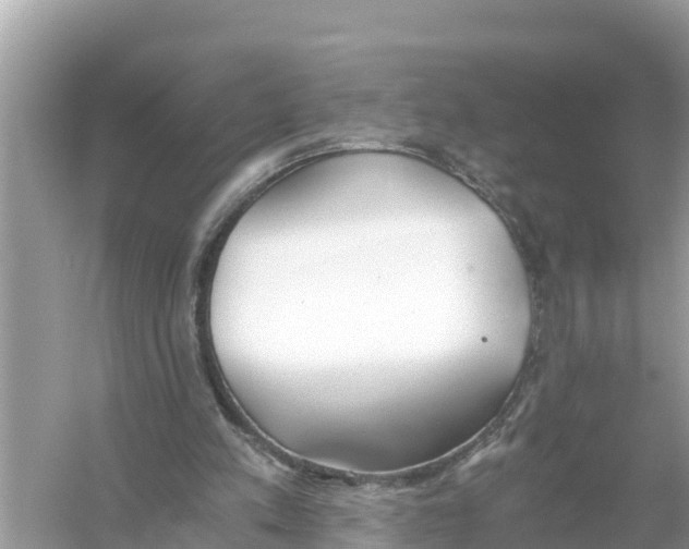 X0000056030197200509170045