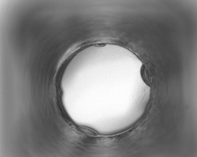 X0000056030198200509170045