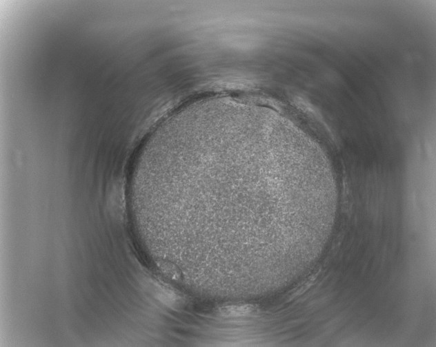 X0000056030202200509170045