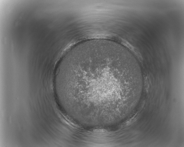 X0000056030203200509170045