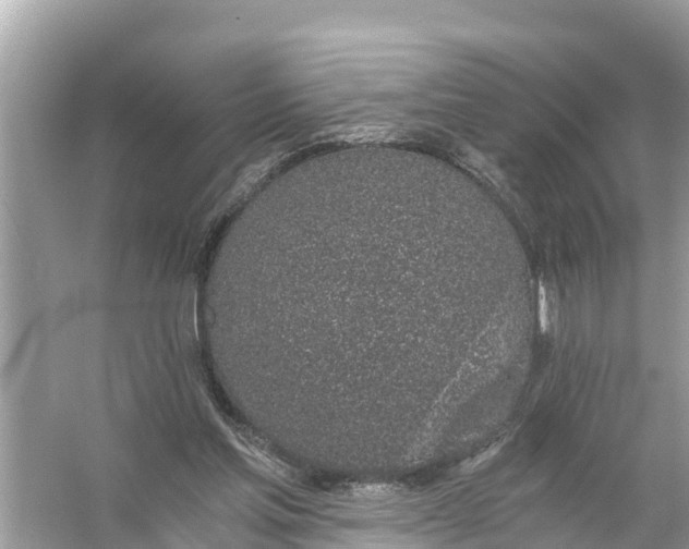 X0000056030205200509170045