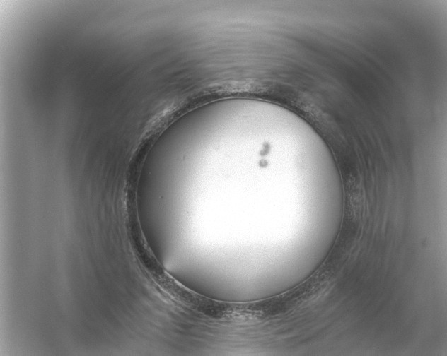 X0000056030207200509170045