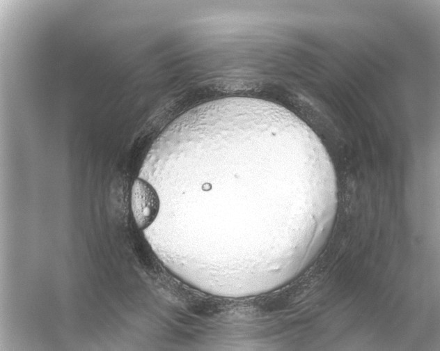 X0000056030210200509170045