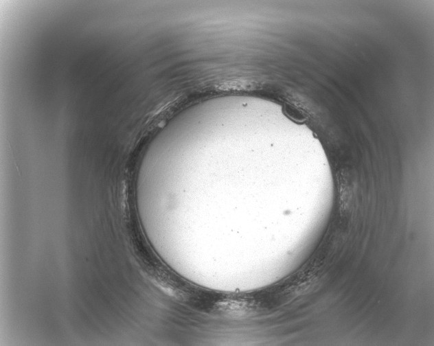 X0000056030211200509170045