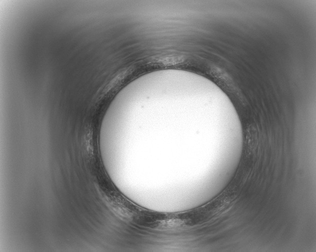 X0000056030212200509170045