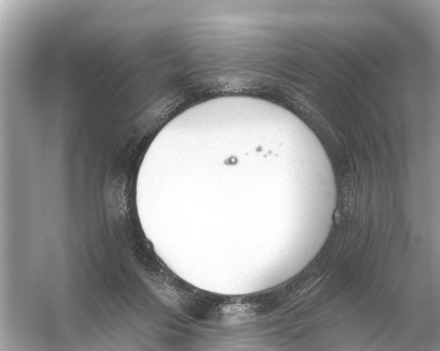 X0000056030216200509170045