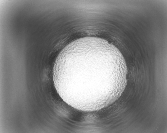 X0000056030218200509170045