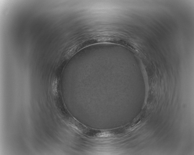 X0000056030219200509170045