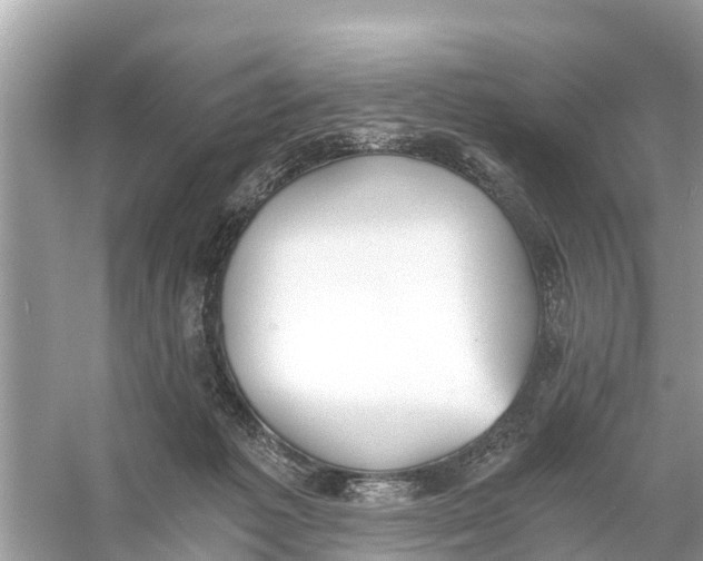 X0000056030221200509170045