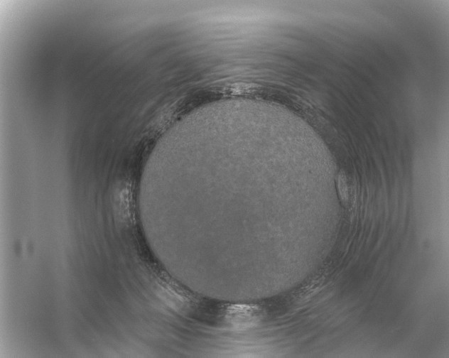 X0000056030222200509170045