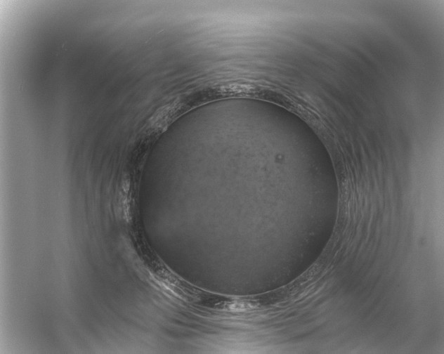 X0000056030223200509170045