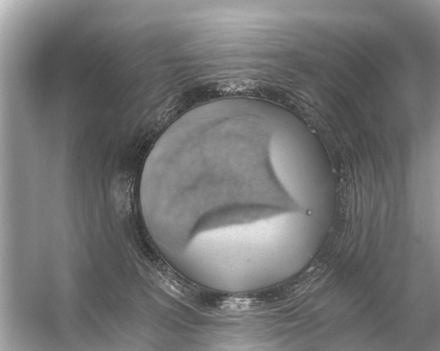 X0000056030227200509170045