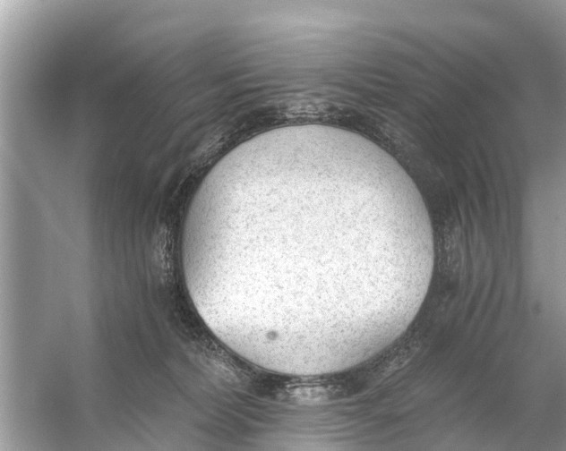 X0000056030228200509170045