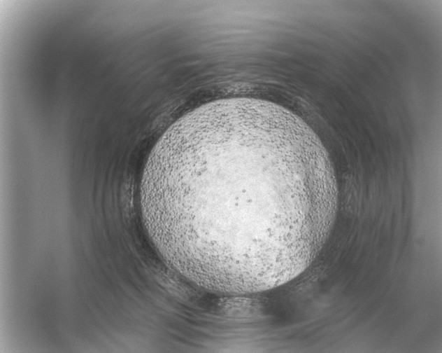 X0000056030230200509170045