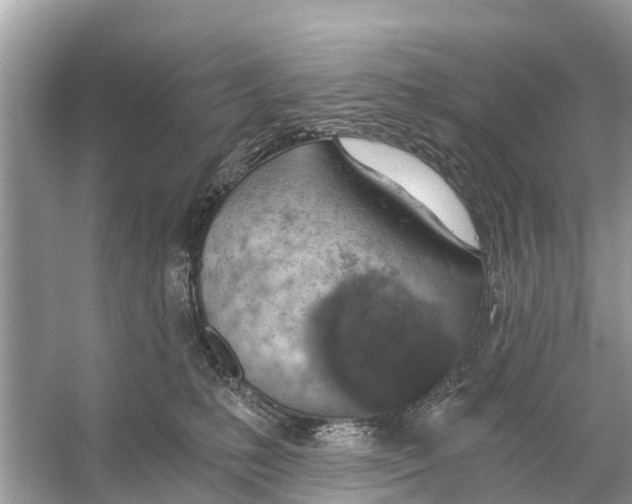 X0000056030231200509170045