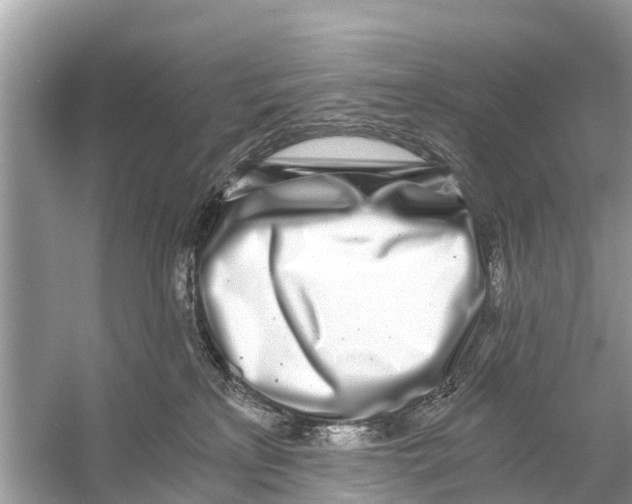 X0000056030233200509170045