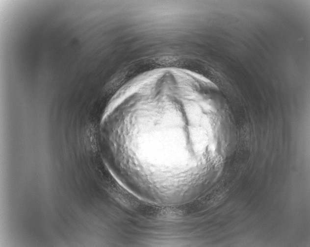 X0000056030234200509170045