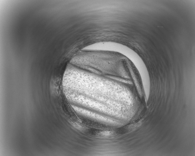 X0000056030237200509170045