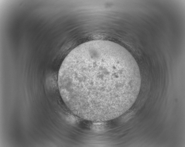 X0000056030240200509170044