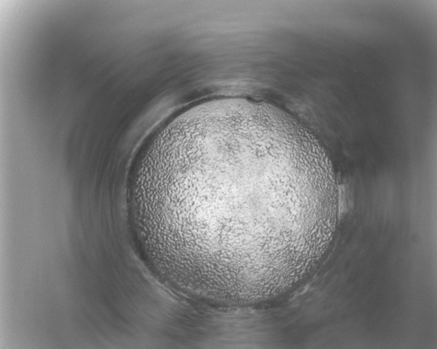 X0000056030243200509170044