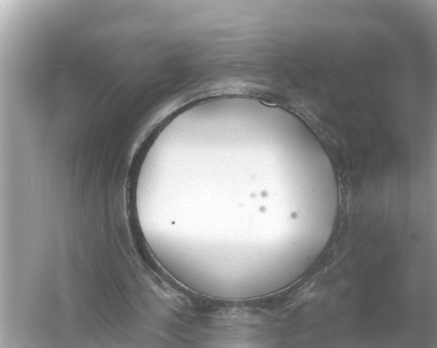 X0000056030244200509170044