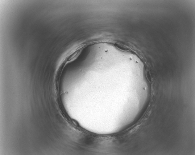 X0000056030245200509170044