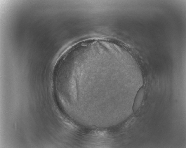 X0000056030247200509170044