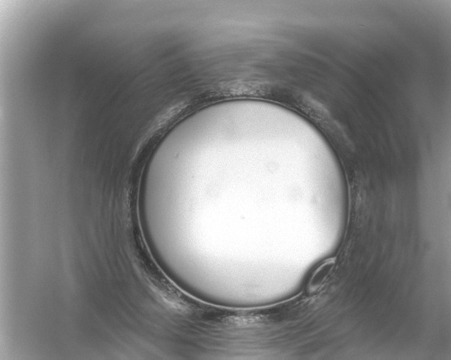 X0000056030250200509170044