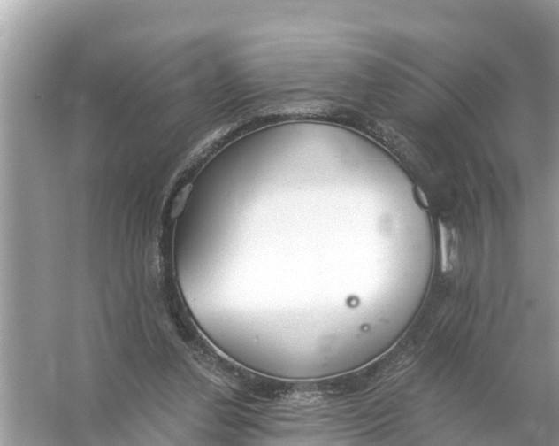 X0000056030252200509170044