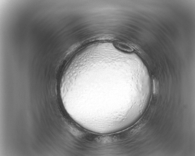 X0000056030253200509170044