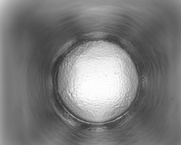 X0000056030254200509170044