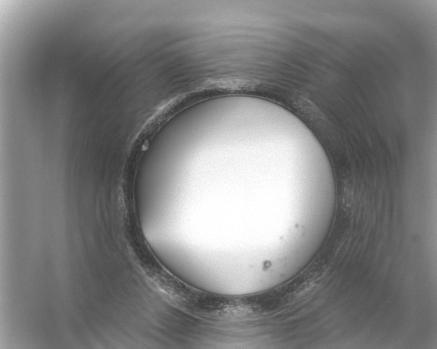 X0000056030256200509170044