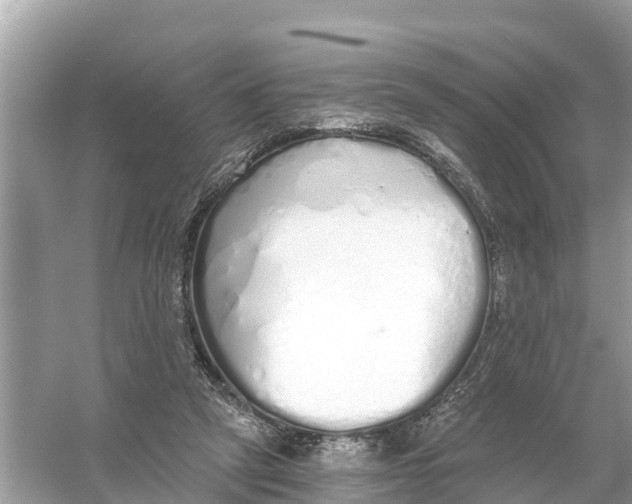 X0000056030257200509170044