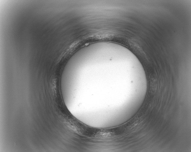 X0000056030260200509170044