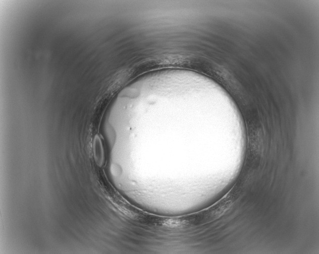 X0000056030261200509170044