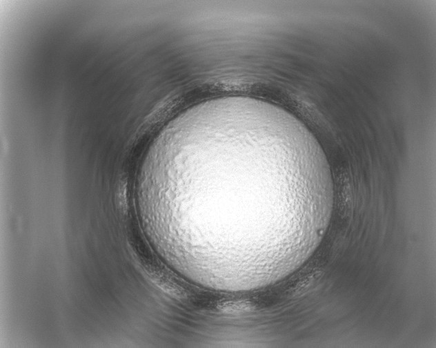 X0000056030262200509170044