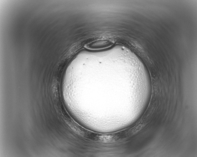 X0000056030265200509170044