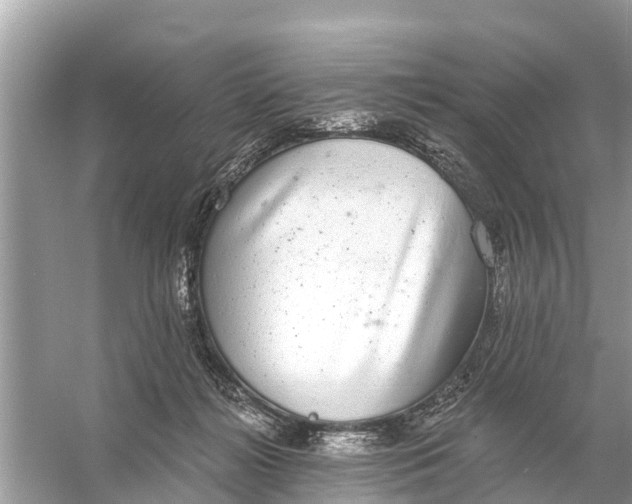 X0000056030268200509170044