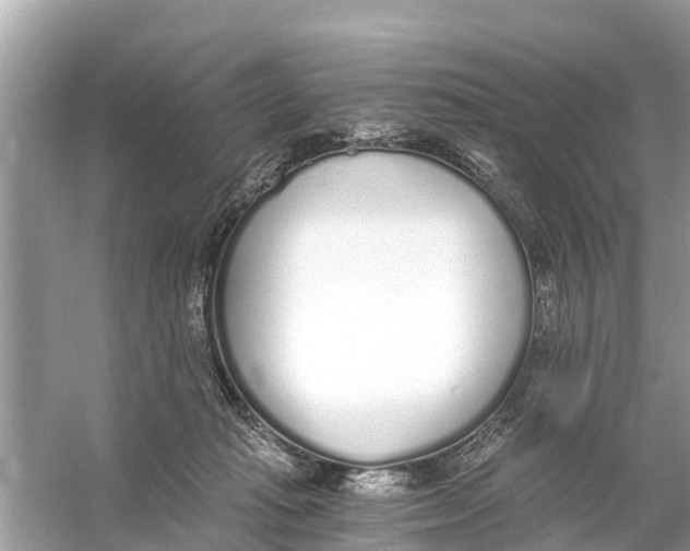 X0000056030269200509170044