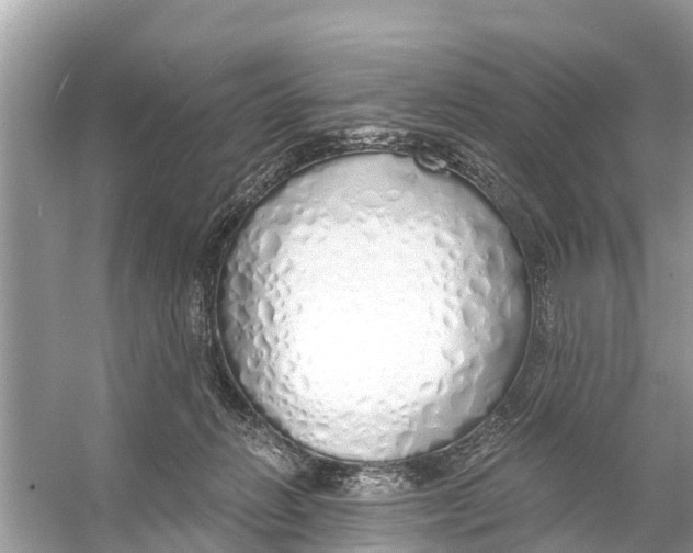 X0000056030270200509170044