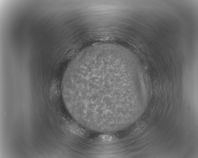 X0000056030272200509170044