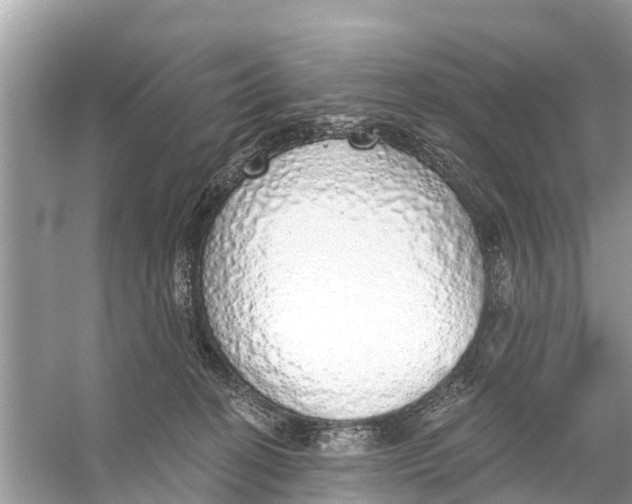 X0000056030274200509170044