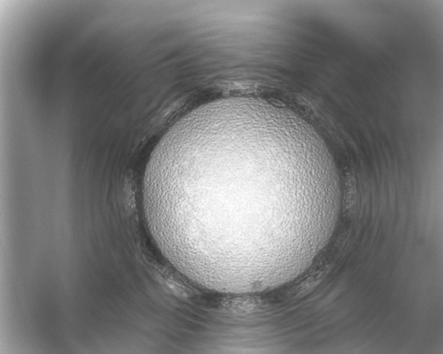 X0000056030282200509170044