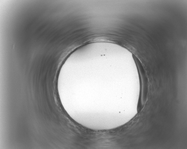 X0000056030289200509170044