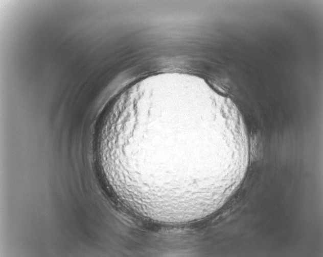 X0000056030291200509170044