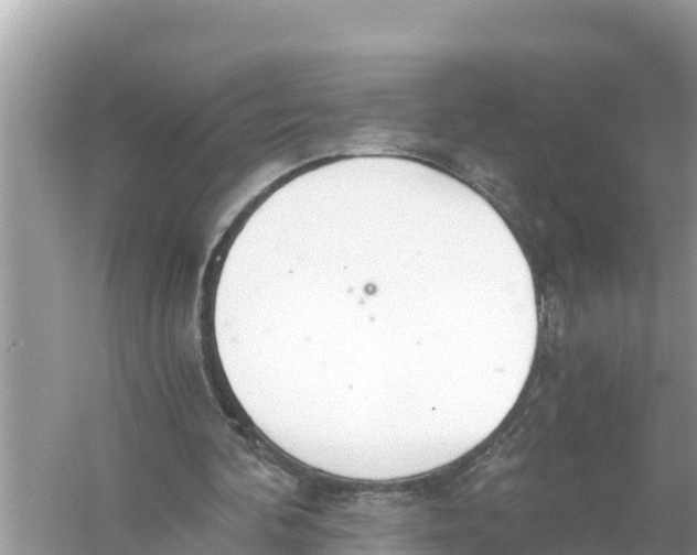 X0000056030292200509170044