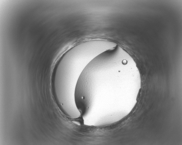 X0000056030293200509170044