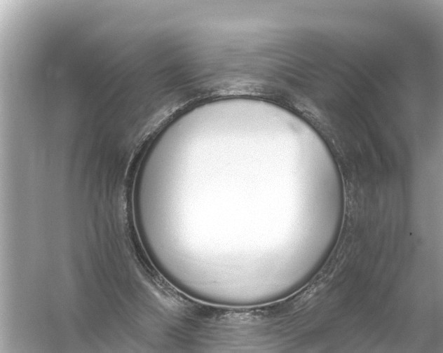 X0000056030298200509170043